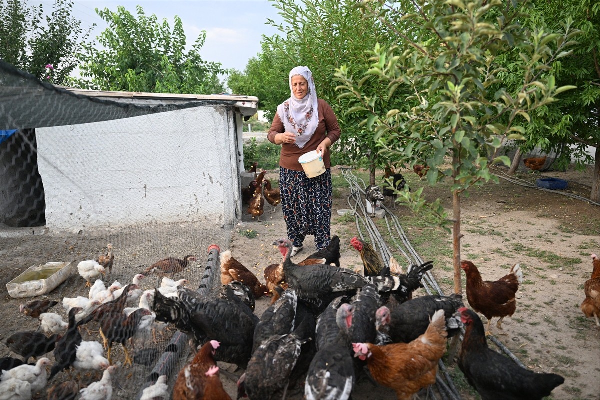 Nijeryalı golcü Victor Osimhen'e maske detayının da yer aldığı bebek örmesiyle tanınan 56...