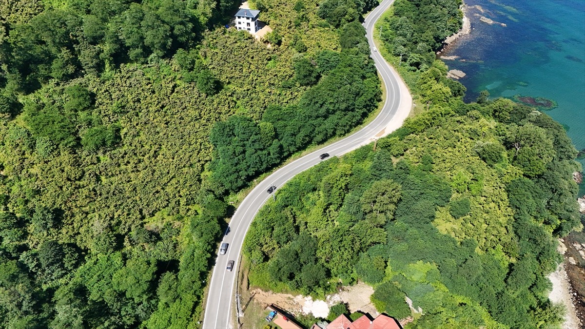 Ordu'da Hoynat ve Timsah adaları ile Yason Burnu'nun yer aldığı 43 kilometrelik güzergahı kullanan...