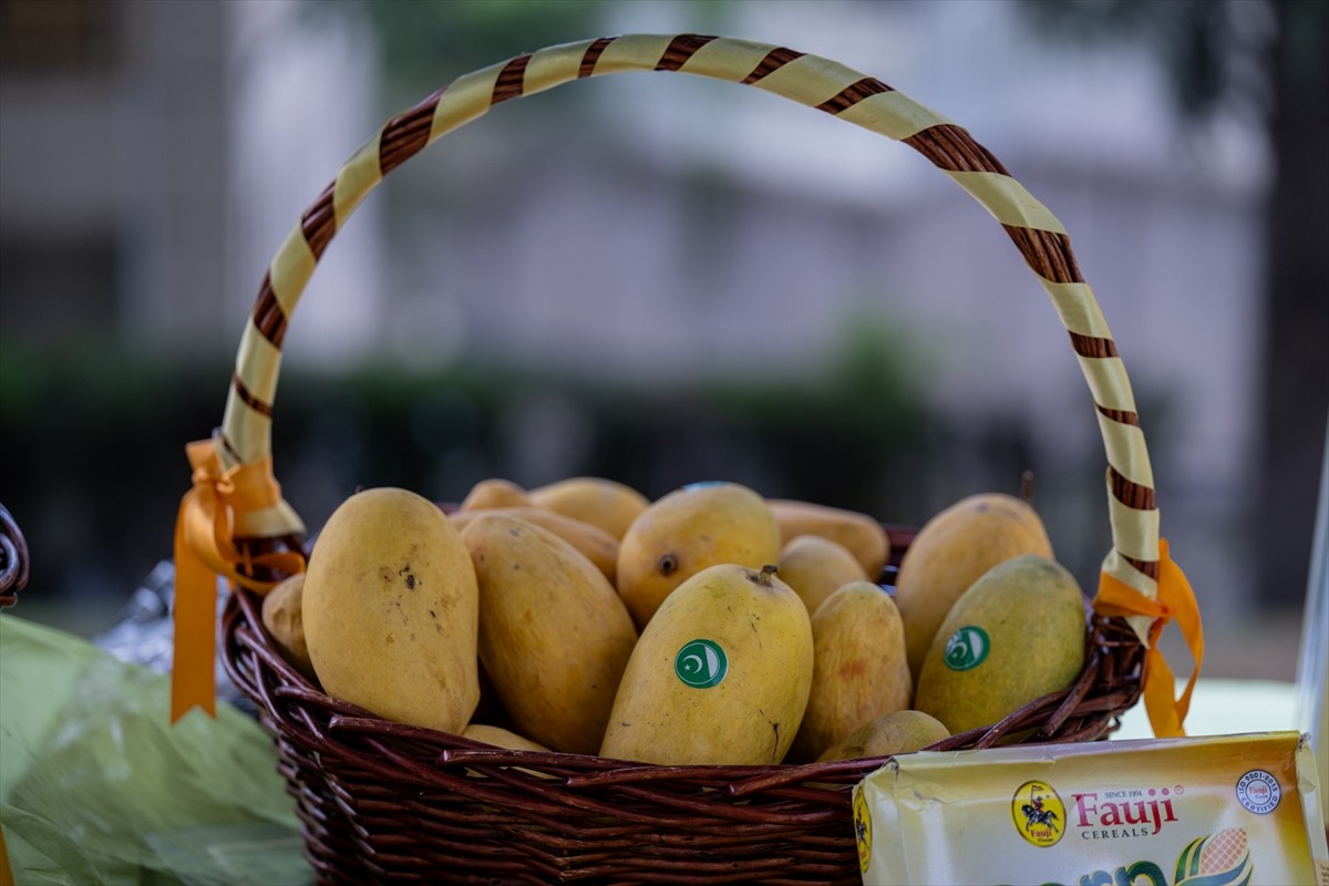 Pakistan'ın Ankara Büyükelçiliği'nin ev sahipliğinde "Mango Festivali" etkinliği yapıldı....