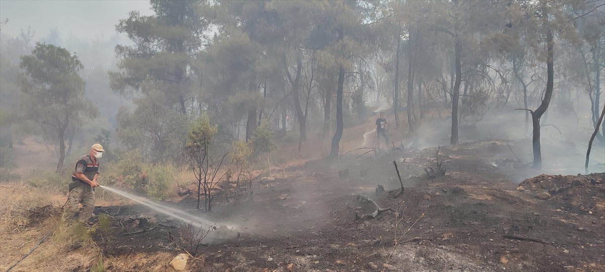 Sakarya'nın Geyve ilçesinde ormanlık alanda çıkan, daha sonra Bilecik tarafına sıçrayan ve bugün...