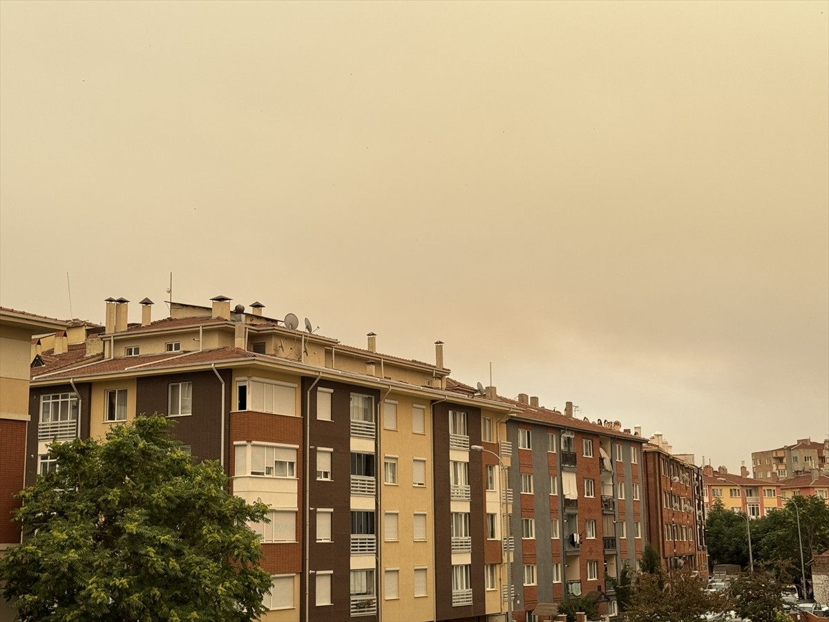 Sakarya'nın Geyve ilçesinde ormanlık alanda çıkıp Bilecik'in Osmaneli ilçesi sınırlarına ulaşan...