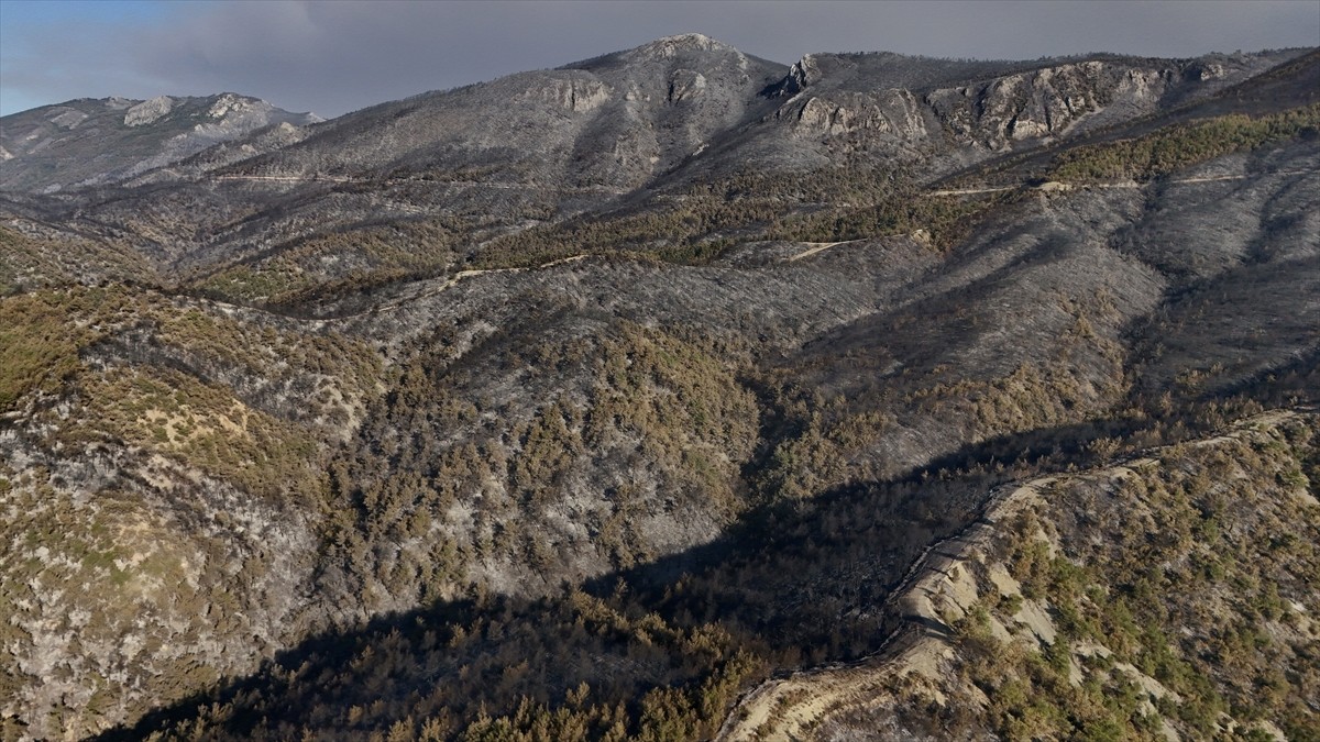 Sakarya'nın Geyve ilçesinde üç gündür süren orman yangının oluşturduğu tahribat dronla...