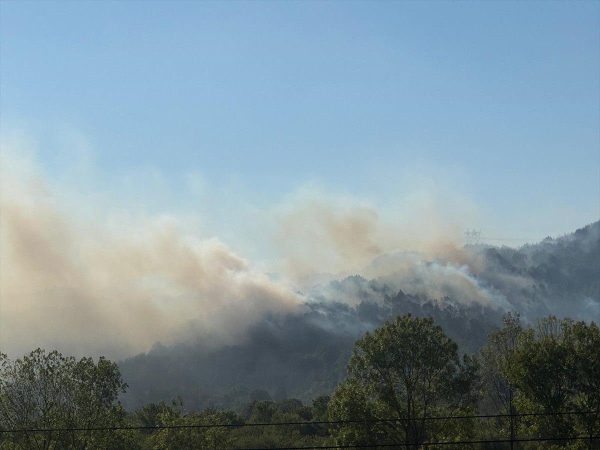 Sakarya'nın Hendek ilçesindeki ormanlık alanda çıkan yangın, söndürülmeye çalışılıyor.