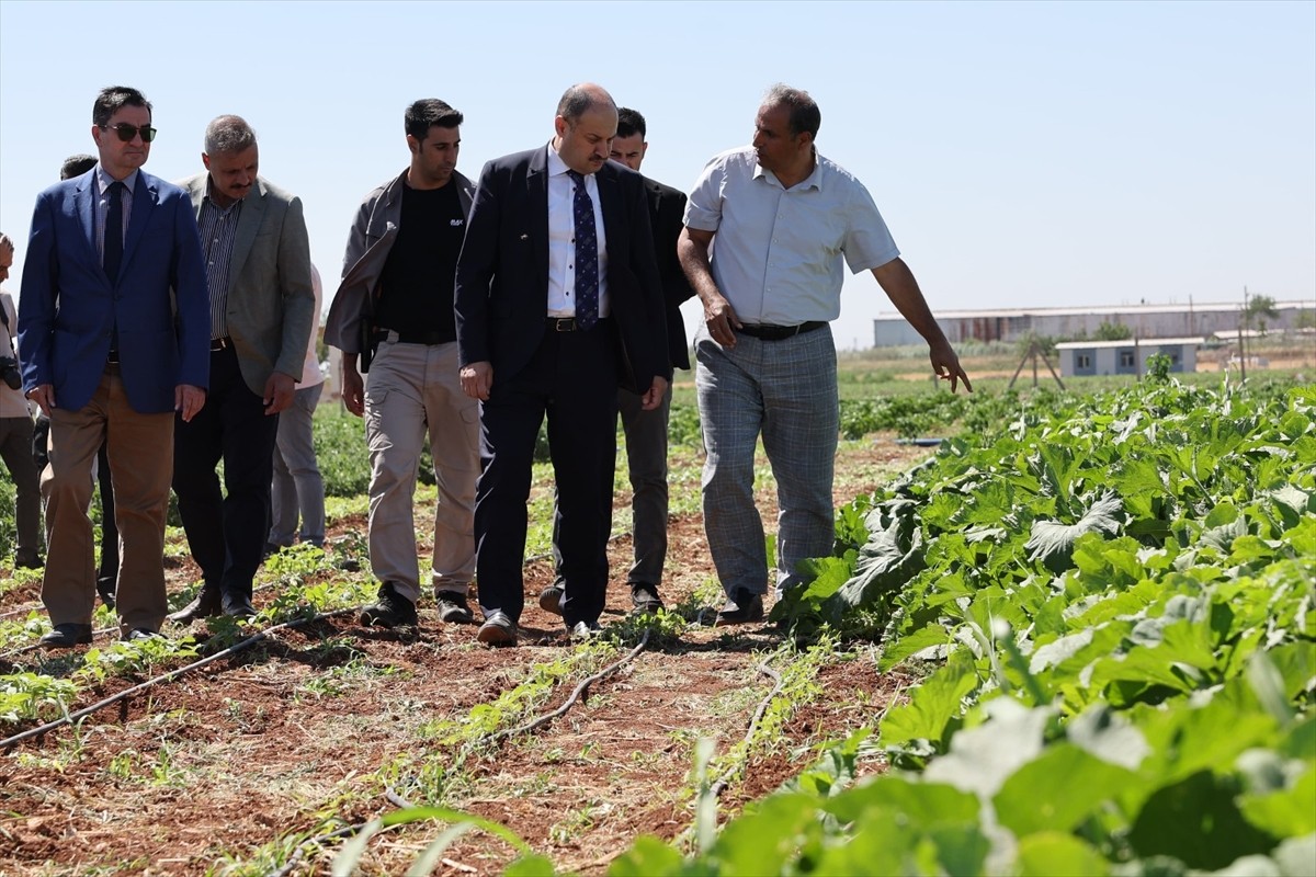 Şanlıurfa Büyükşehir Belediyesi, Cumhurbaşkanı Recep Tayyip Erdoğan'ın eşi Emine Erdoğan'ın...