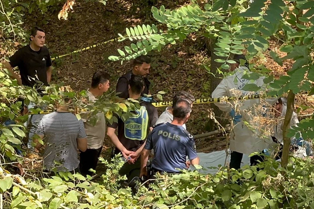 Sarıyer'de ormanlık alandaki yol kenarında erkek cesedi bulundu. Ceset, olay yeri inceleme...