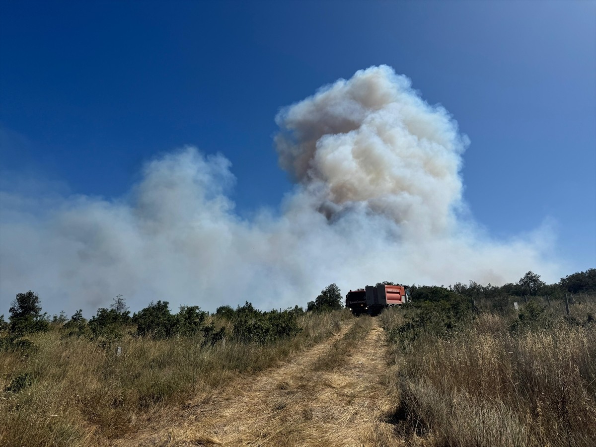 Silivri'de, ormanlık alanda çıkan yangına itfaiye ekipleri müdahale ediliyor.