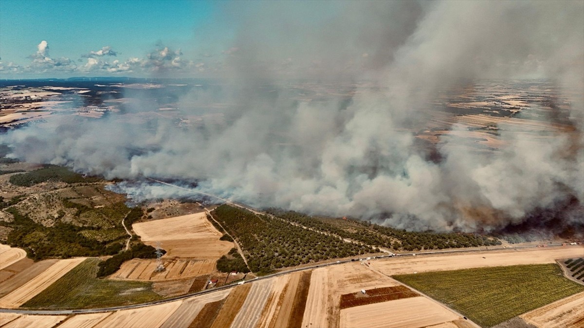 Silivri'de, ormanlık alanda çıkan yangına itfaiye ekipleri müdahale ediyor.