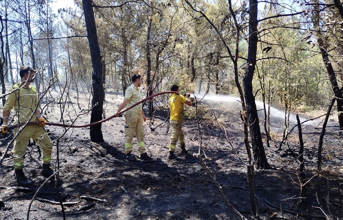 Sinop'un Boyabat ilçesinde çıkan orman yangını söndürüldü. Yangında, ilk tespitlere göre 8 dönüm...