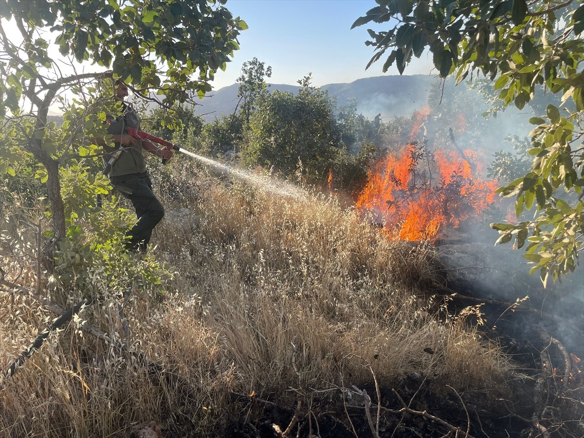 Şırnak'ta Gabar Dağı'nda çıkan örtü ve orman yangını havadan ve karadan müdahale ile kontrol...