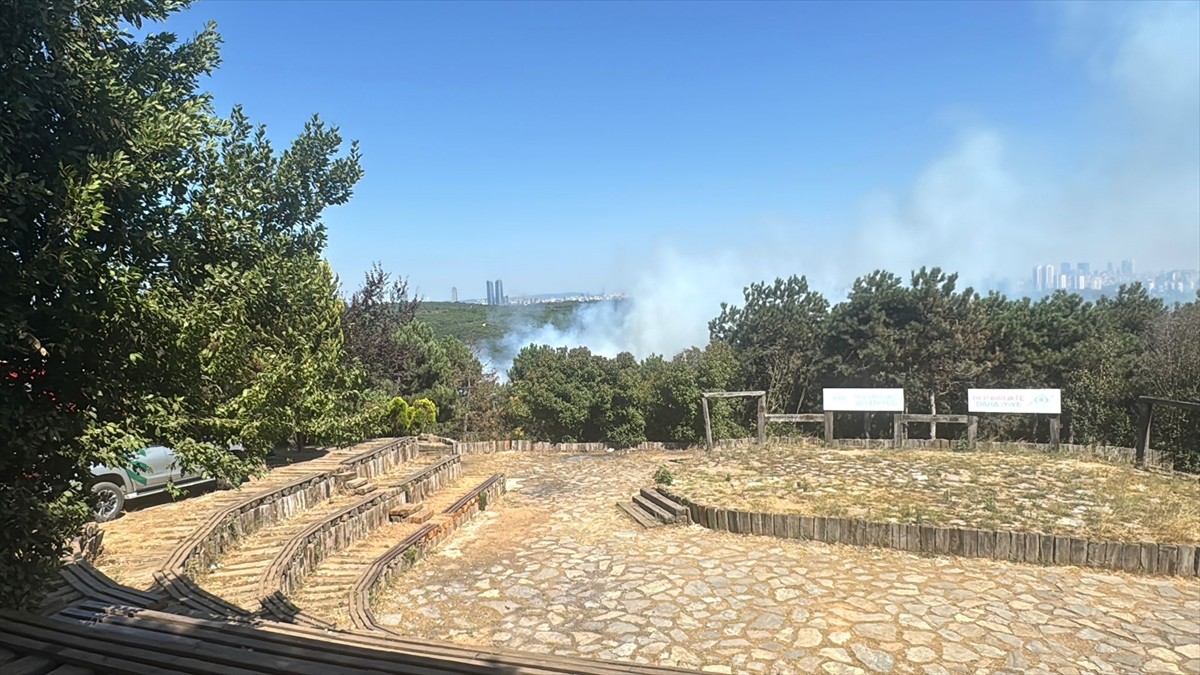 Sultangazi'de Hacı Bektaş-ı Veli Kent Ormanı'nda yangın çıktı. 