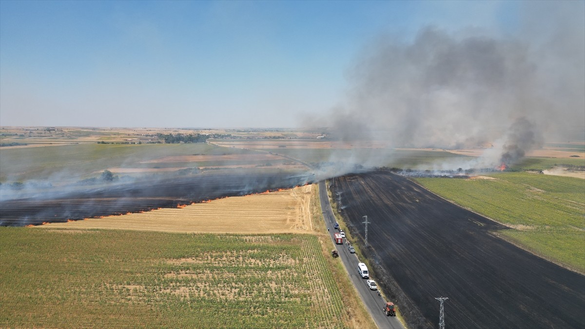 Tekirdağ'ın Hayrabolu ilçesinde buğday tarlasında çıkan ve rüzgarın etkisiyle büyüyerek kısmen...