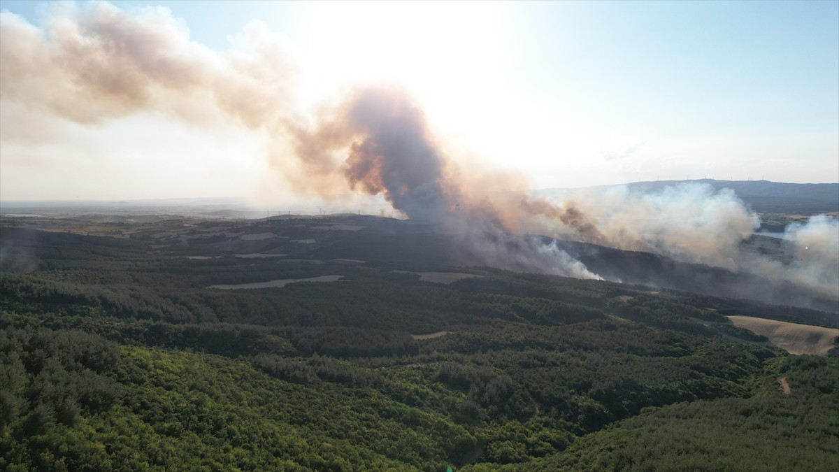 Tekirdağ'ın Şarköy ilçesi Çokal Barajı yakınlarındaki orman yangınına müdahale ediliyor.