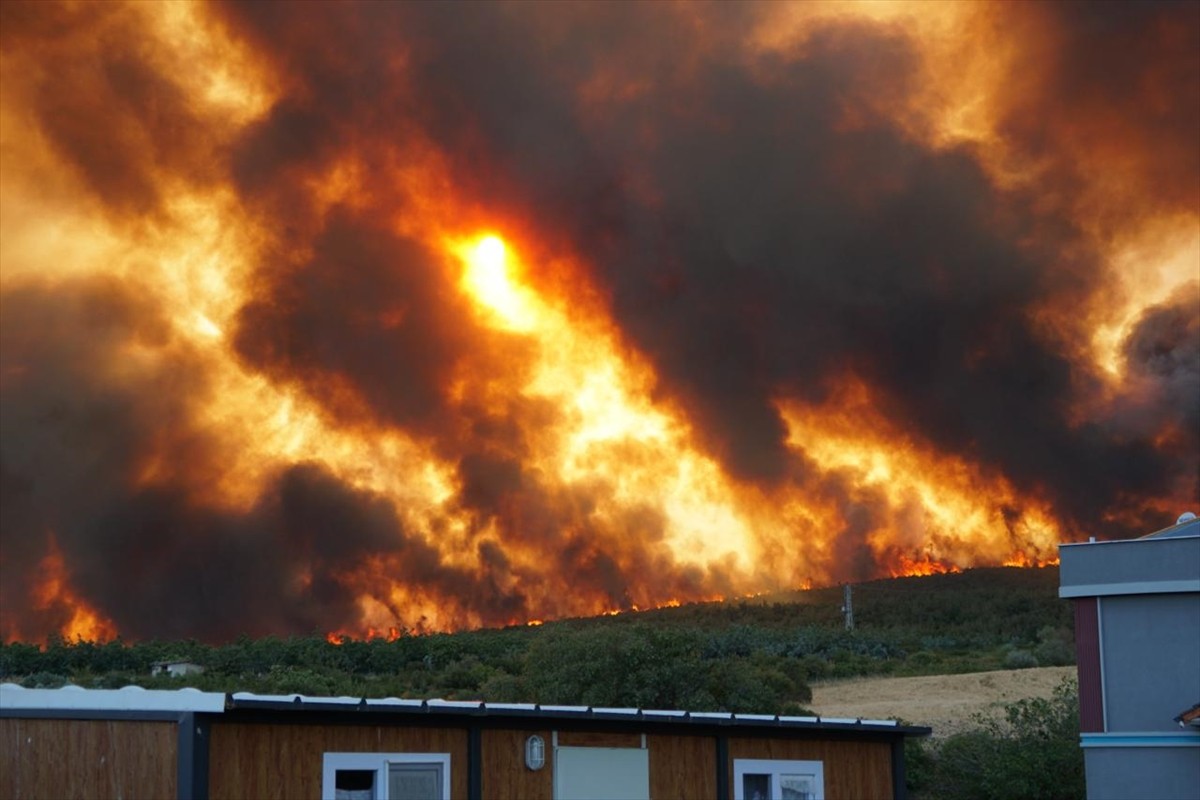 Tekirdağ'ın Şarköy ilçesinde tarım alanında başlayıp ormana sıçrayan yangına müdahale ediliyor....