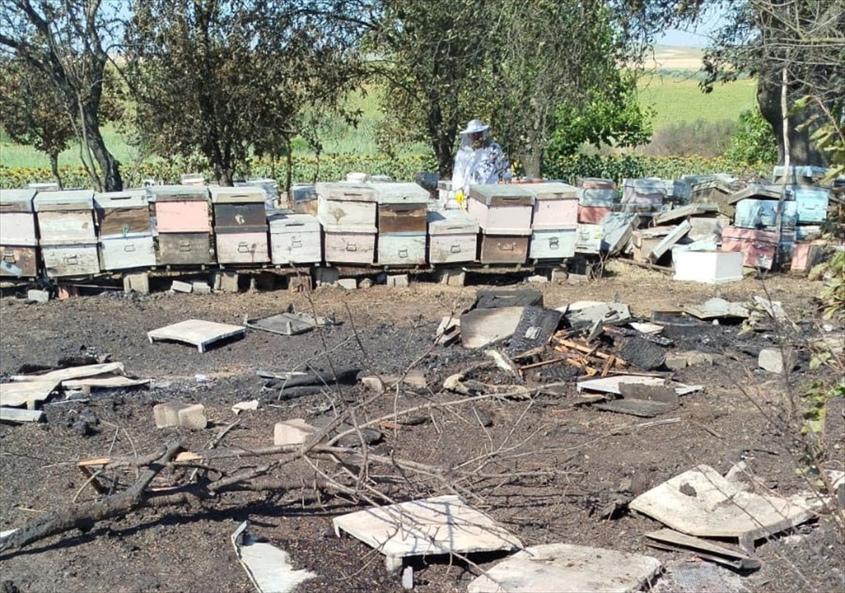 Tekirdağ’ın Hayrabolu ilçesinde çıkan anız yangınında 400 arı kovanı zarar gördü.