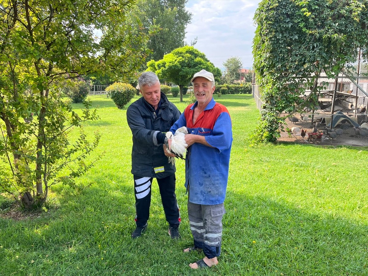 Tokat'ın Erbaa ilçesinde bir caminin sundurmasında mahsur kalan yaralı leyleği itfaiye ekipleri...