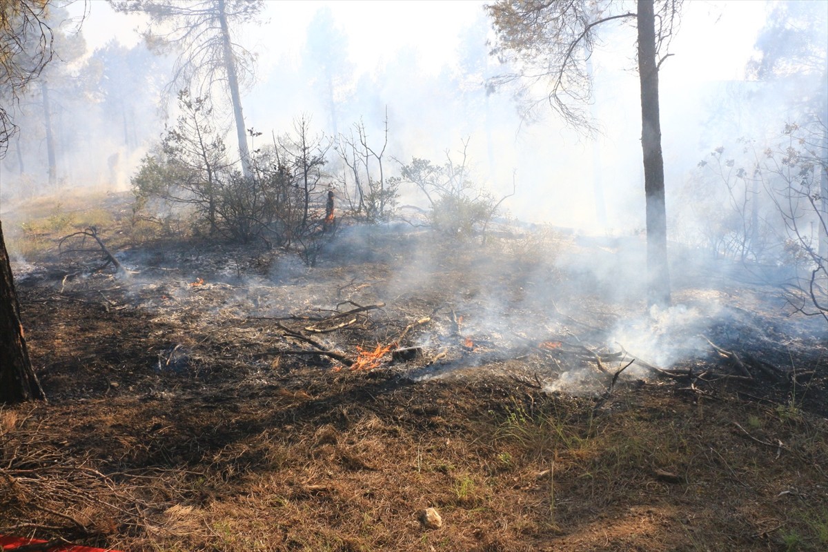 Tokat'ın Erbaa ilçesinde çıkan orman yangını kontrol altına alındı.  