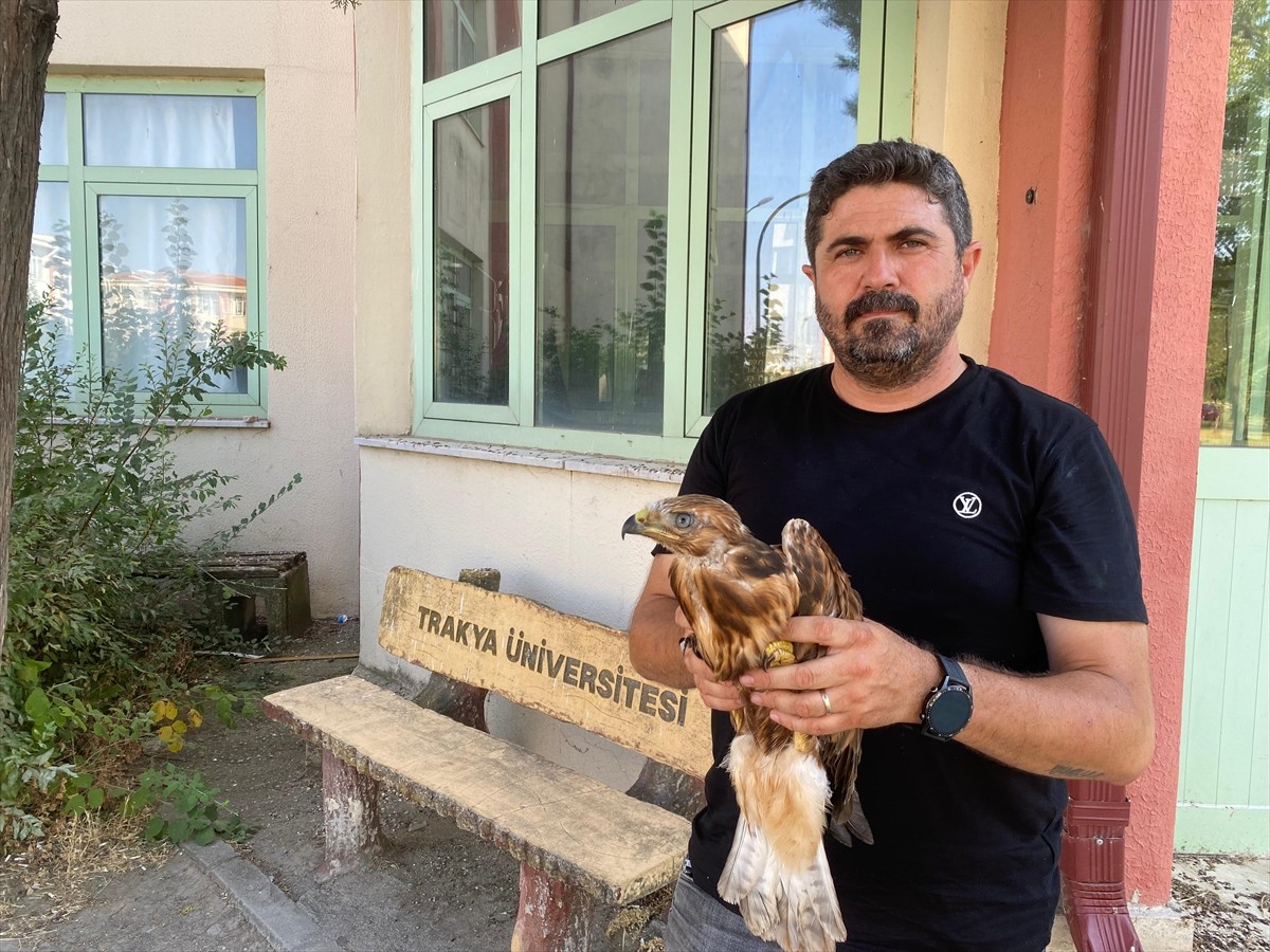 Trakya Üniversitesi Doğa Tarihi Müzesi Müdürü Özmen Yeltekin, mevsim normallerinin üzerinde...