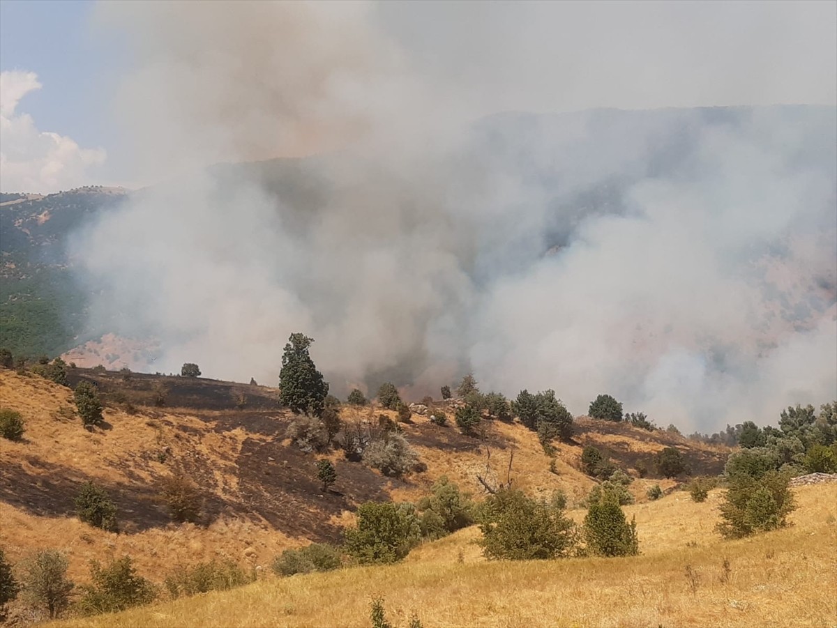 Tunceli'nin Hozat ilçesinde ormanlık alanda çıkan örtü yangınına ekipler müdahale ediyor.