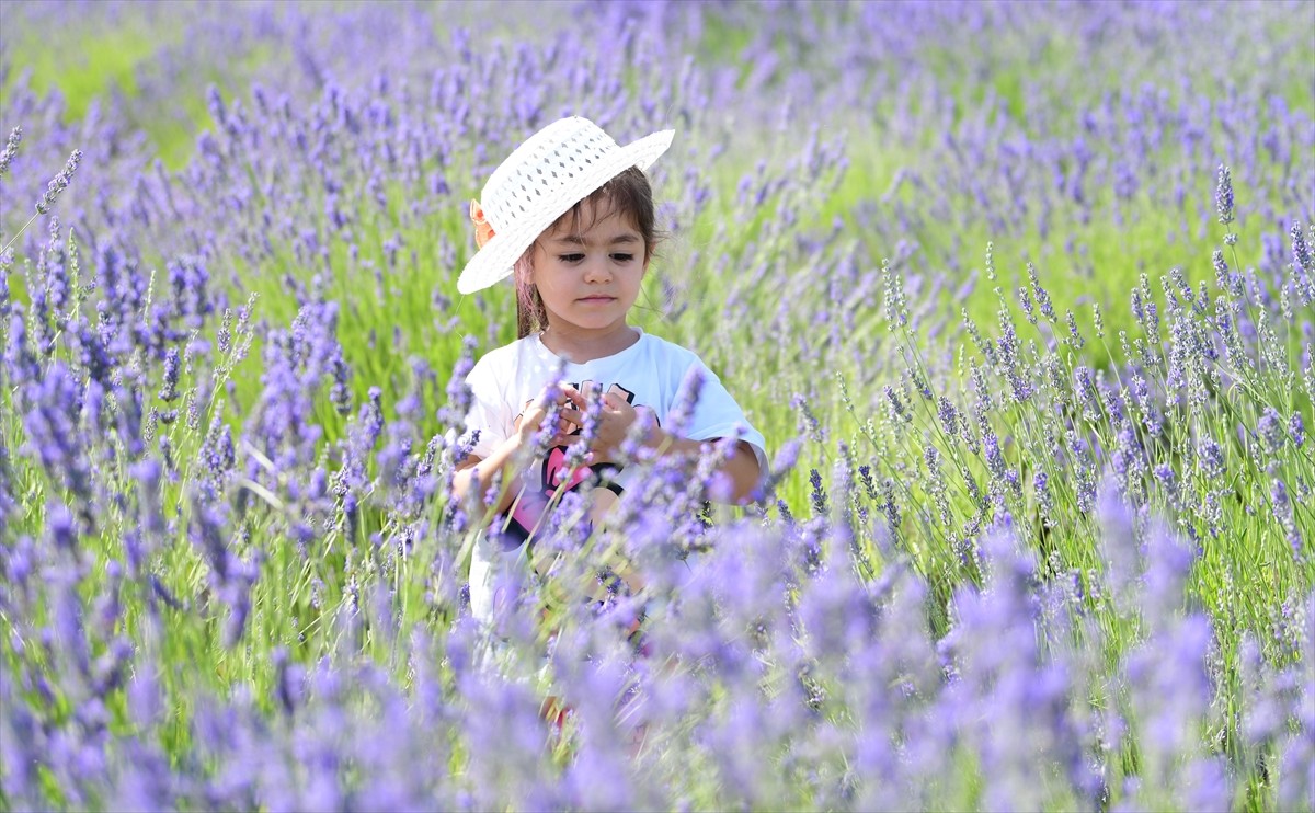 Van Yüzüncü Yıl Üniversitesinin (YYÜ) Tıbbi Aromatik Bitkiler ve Geofit Bahçesi'nde düzenlenen "4....