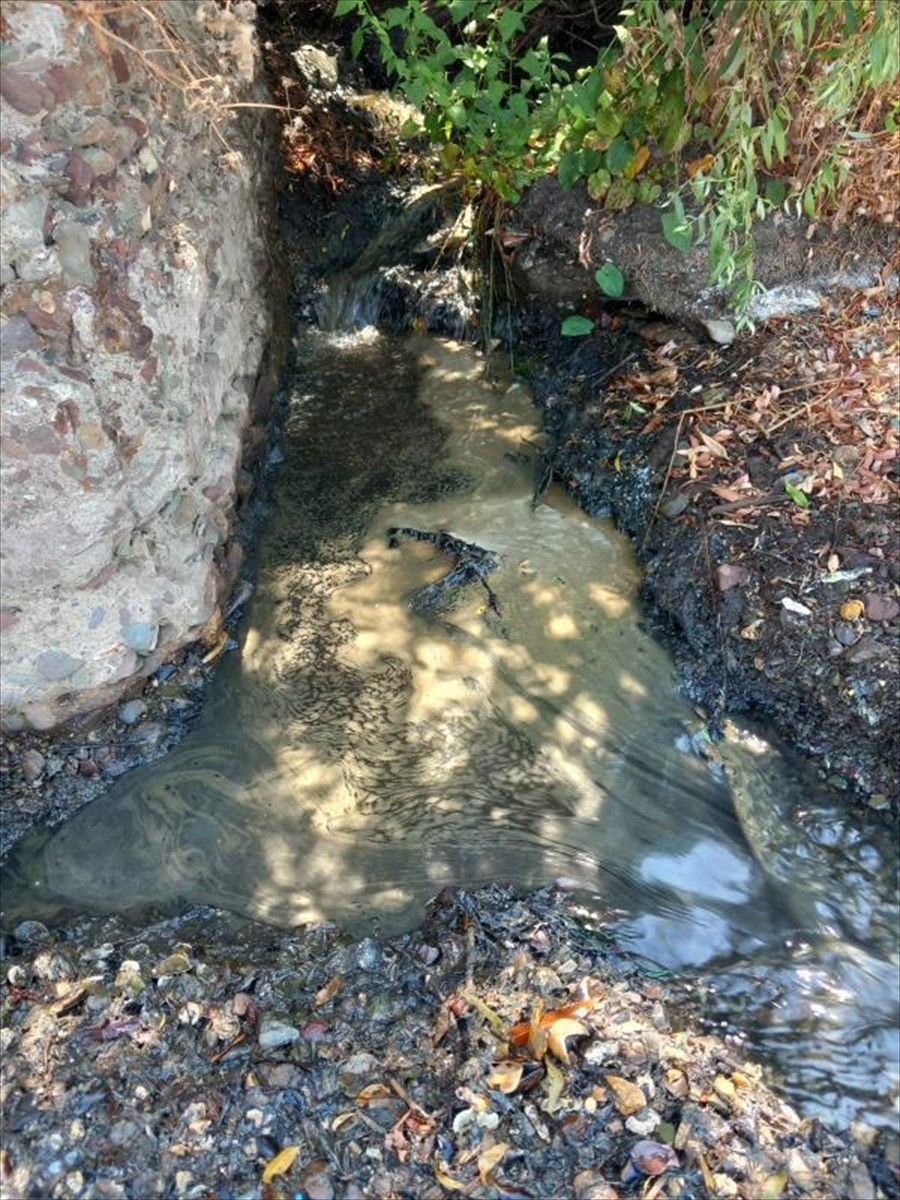 Yalova'nın Çiftlikköy ilçesinde Marmara Denizi'ne yağmur suyu kanalıyla atık yağ benzeri malzeme...