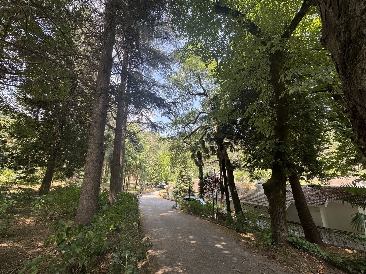 Yalova'nın Termal ilçesinde dünyanın birçok bölgesinden getirilen 66 türle kurulan Türkiye'nin ilk...