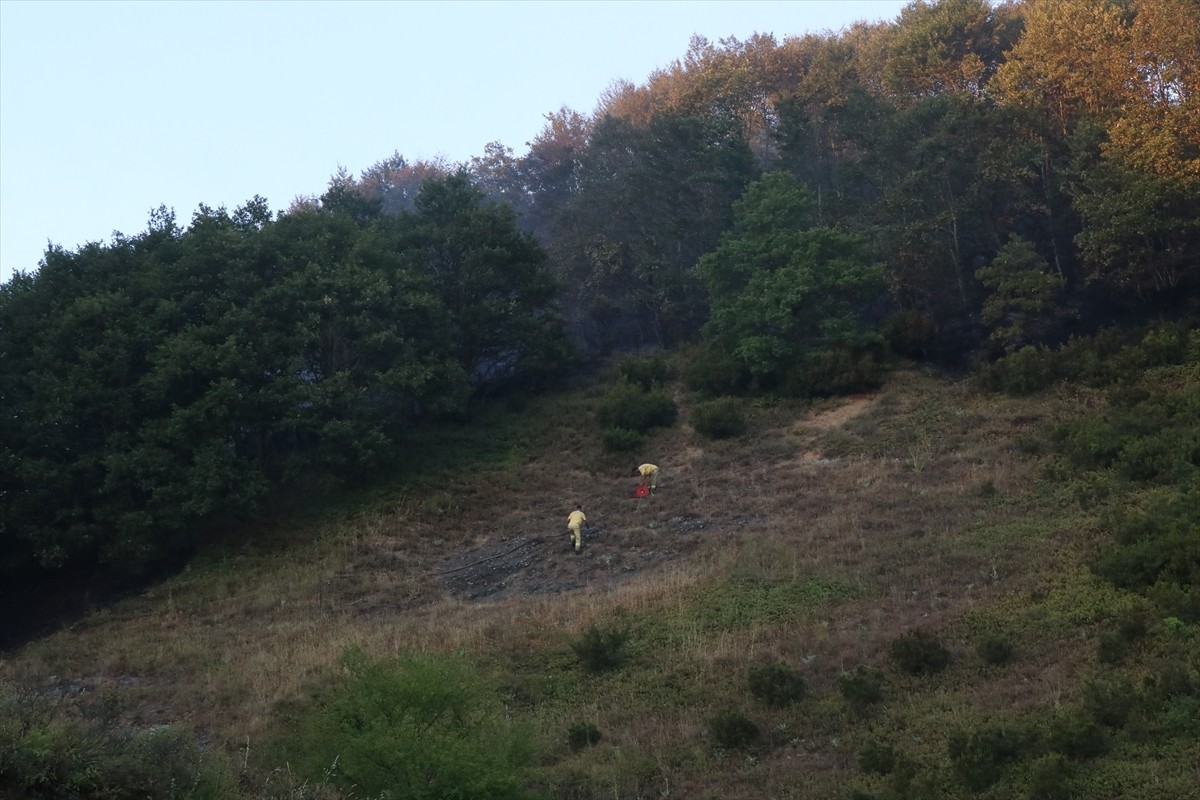 Yalova-Bursa sınırında çıkan orman yangını havadan ve karadan müdahale ile kontrol altına...