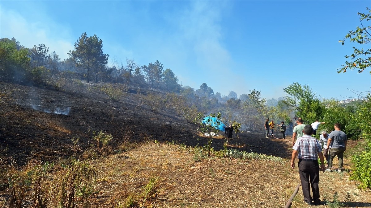 Zonguldak'ın Alaplı ilçesinde başlayan orman yangınına müdahale ediliyor. İhbar üzerine bölgeye...