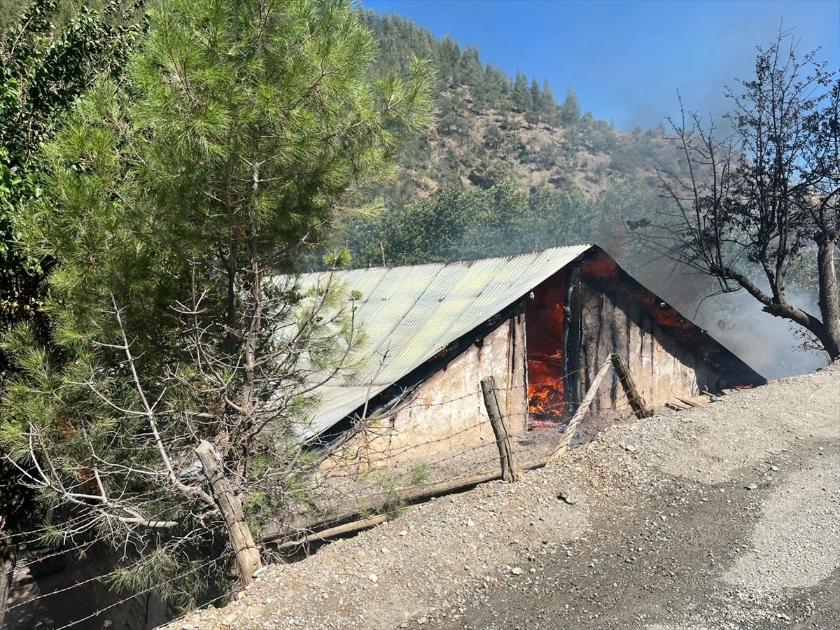 Adana'nın Feke ilçesinde iki katlı bir evde çıkan yangın, ormana sıçramadan söndürüldü.