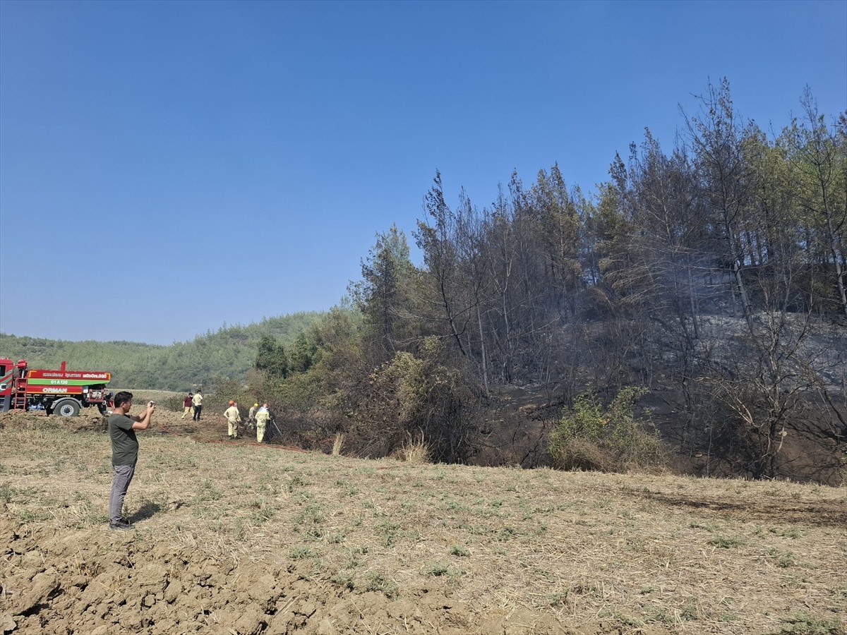 Adana'nın Karaisalı ilçesinde çıkan orman yangını, ekiplerin havadan ve karadan müdahalesiyle...