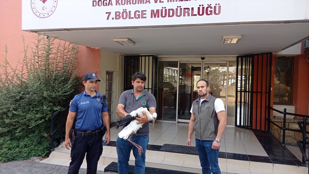 Adana'nın Yüreğir ilçesinde yaralı bulunan leyleğin tedavisine başlandı.
