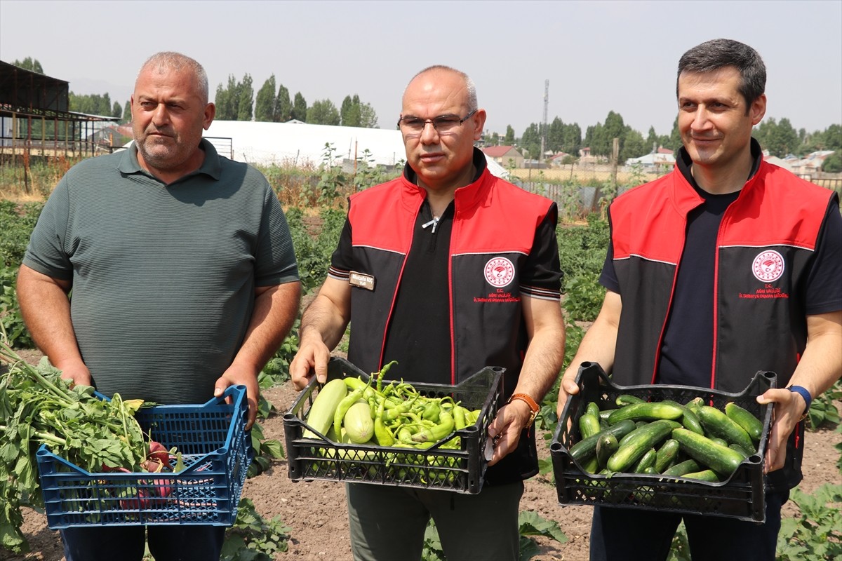 Ağrı'da Tarım ve Orman Bakanlığınca desteklenen "Sebze Yetiştiriciliğinin Yaygınlaştırılması...