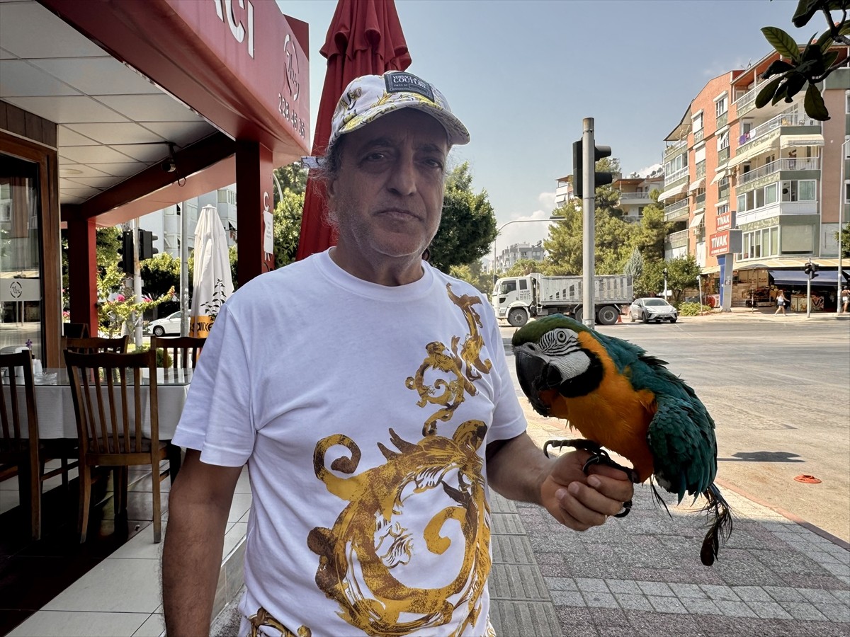 Antalya'nın Konyaaltı ilçesinde 28 yıldır aynı kişi tarafından beslenen ve çalındığı öne sürülen...