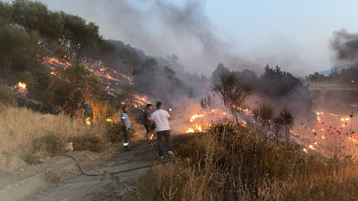 Aydın'da otoyoldaki kamyonda çıkıp ağaçlık alana sıçrayan yangın söndürüldü.