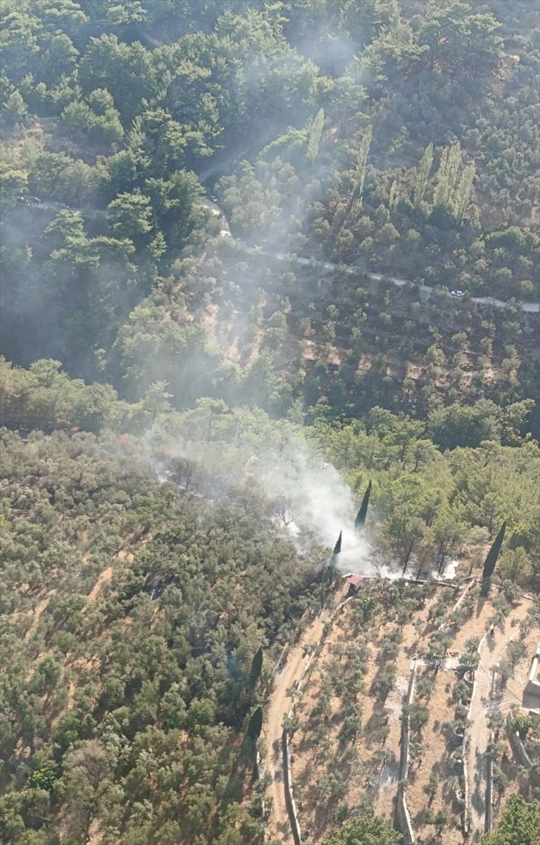 Balıkesir'in Edremit ilçesindeki Kazdağları Milli Parkı'nda çıkan orman yangını kontrol altına...