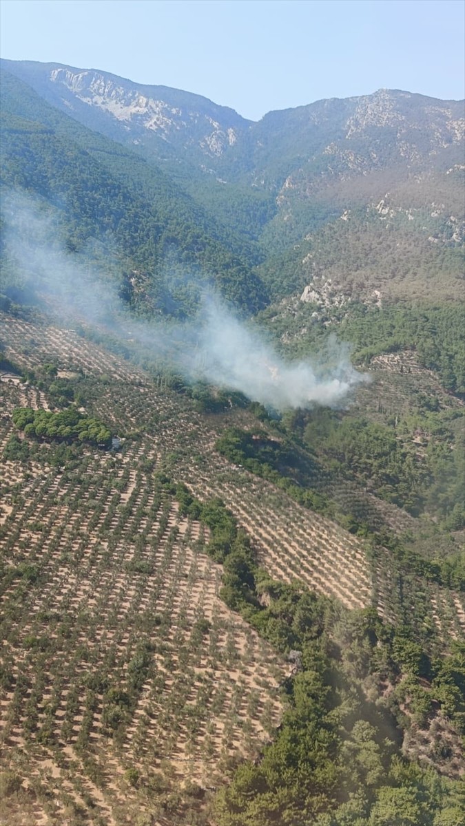 Balıkesir'in Edremit ilçesindeki Kazdağları Milli Parkı'nda çıkan orman yangını kontrol altına...