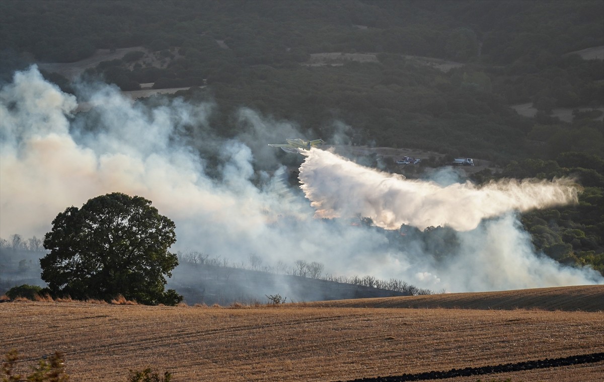 Balıkesir'in Susurluk ilçesinde çıkan orman yangınına havadan ve karadan müdahale ediliyor.