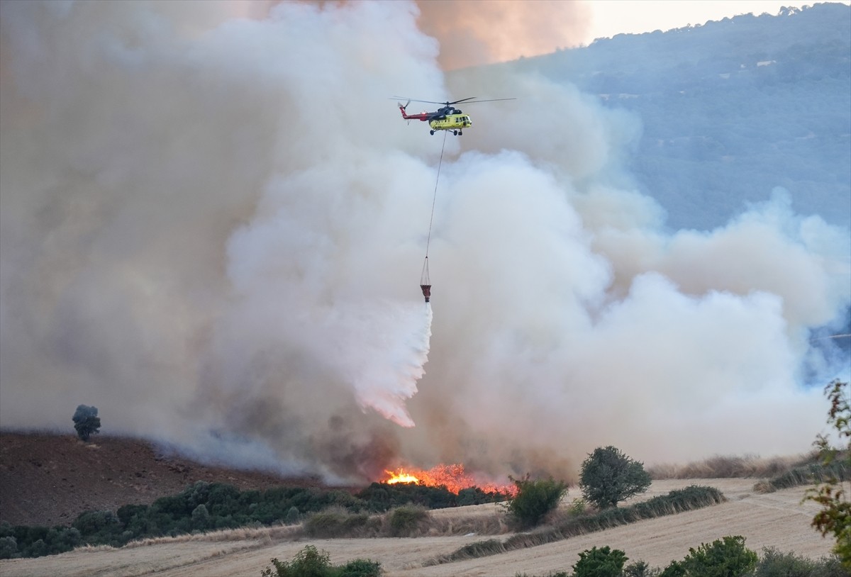 Balıkesir'in Susurluk ilçesinde çıkan orman yangınına havadan ve karadan müdahale ediliyor.