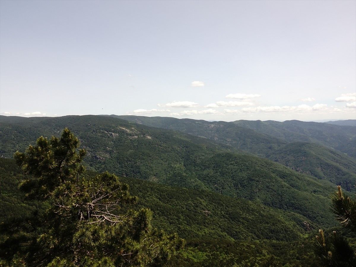 Balıkesir Üniversitesi (BAÜN) Fen-Edebiyat Fakültesi Coğrafya Bölümü Fiziki Coğrafya Ana Bilim...