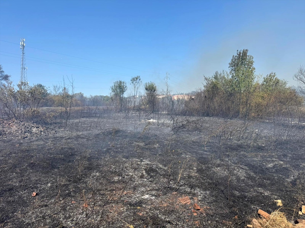 Bartın'da tarlada başlayıp ağaçlık alana sıçrayan yangına müdahale ediliyor.