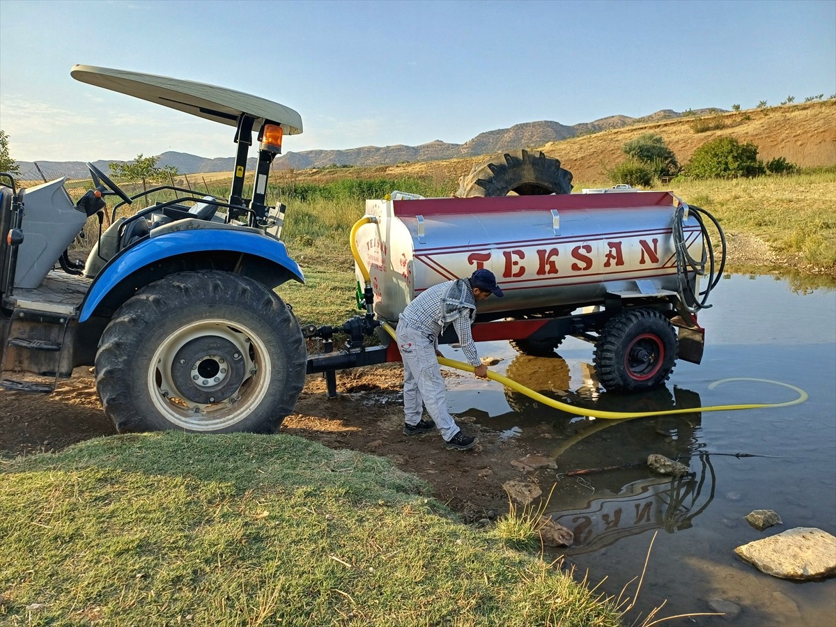 Batman'da fıstık üreticileri, yağışların yetersiz ve yaz sıcaklıklarının yüksek olması nedeniyle...