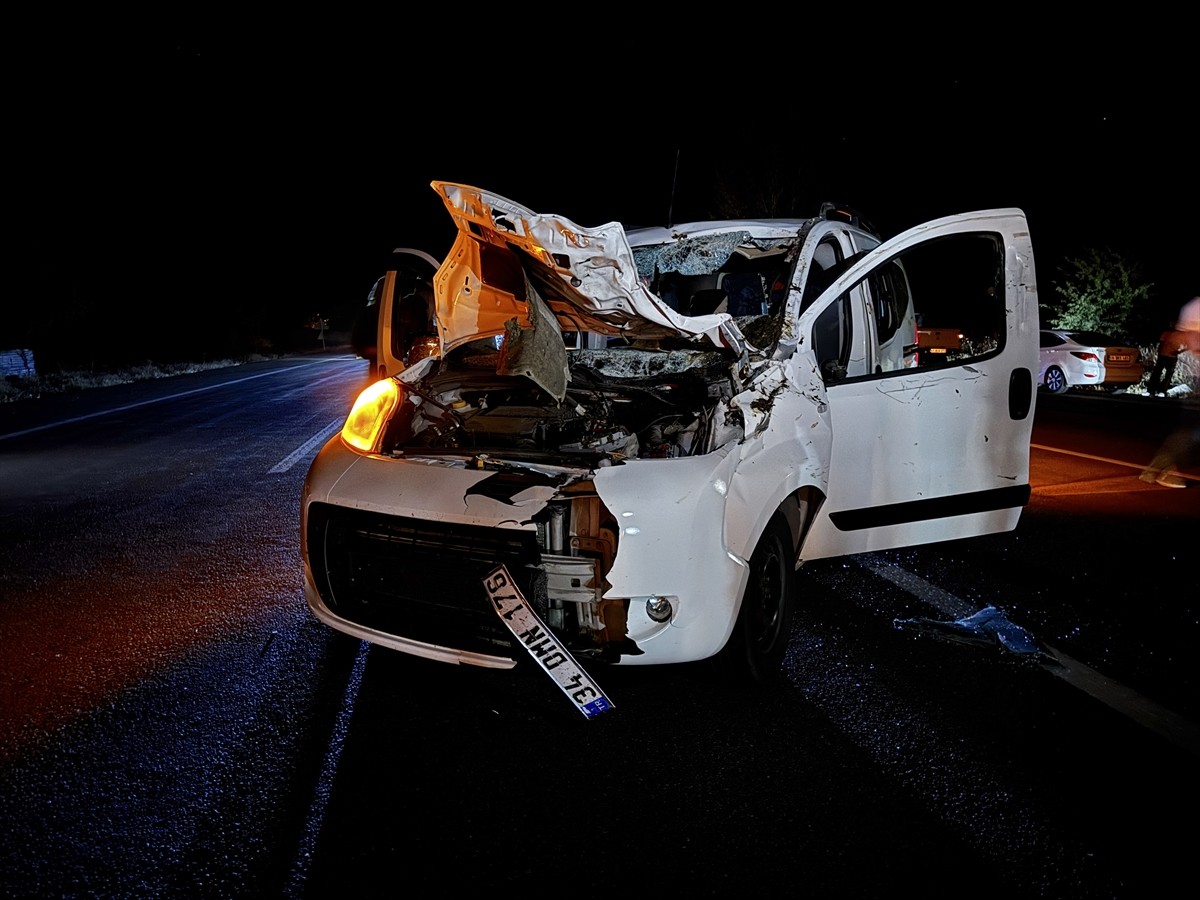 Bingöl'ün Karlıova ilçesinde ata çarpan hafif ticari araçtaki 1 kişi yaşamını yitirdi, at da...