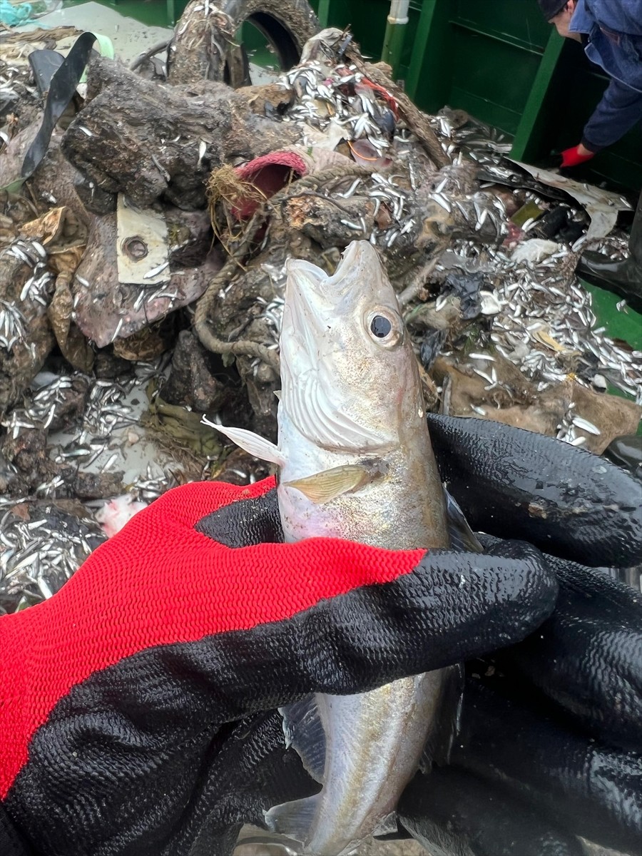 Birleşmiş Milletler Çevre Programı (UNEP) verilerine göre, dünyada her gün 2 bin çöp kamyonu kadar...