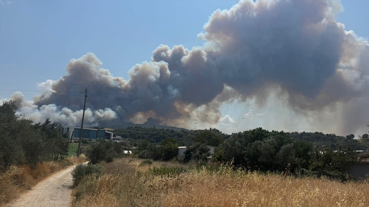 Çanakkale'de tarım arazisinde başlayıp ormanlık alana sıçrayan yangına havadan ve karadan müdahale...
