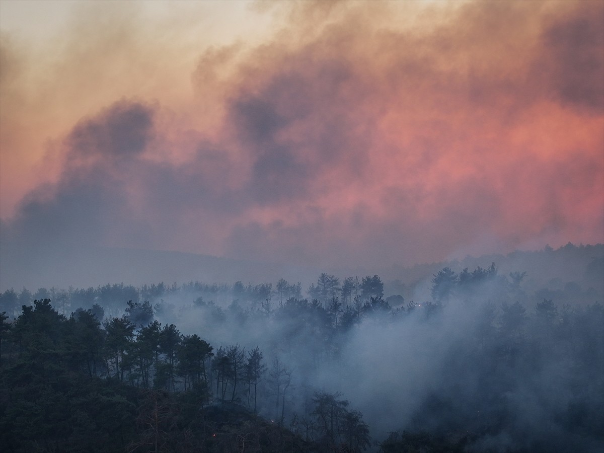 Çanakkale'nin Gelibolu ilçesinde kırsal alanda başlayıp ormana sıçrayan yangına havadan ve karadan...