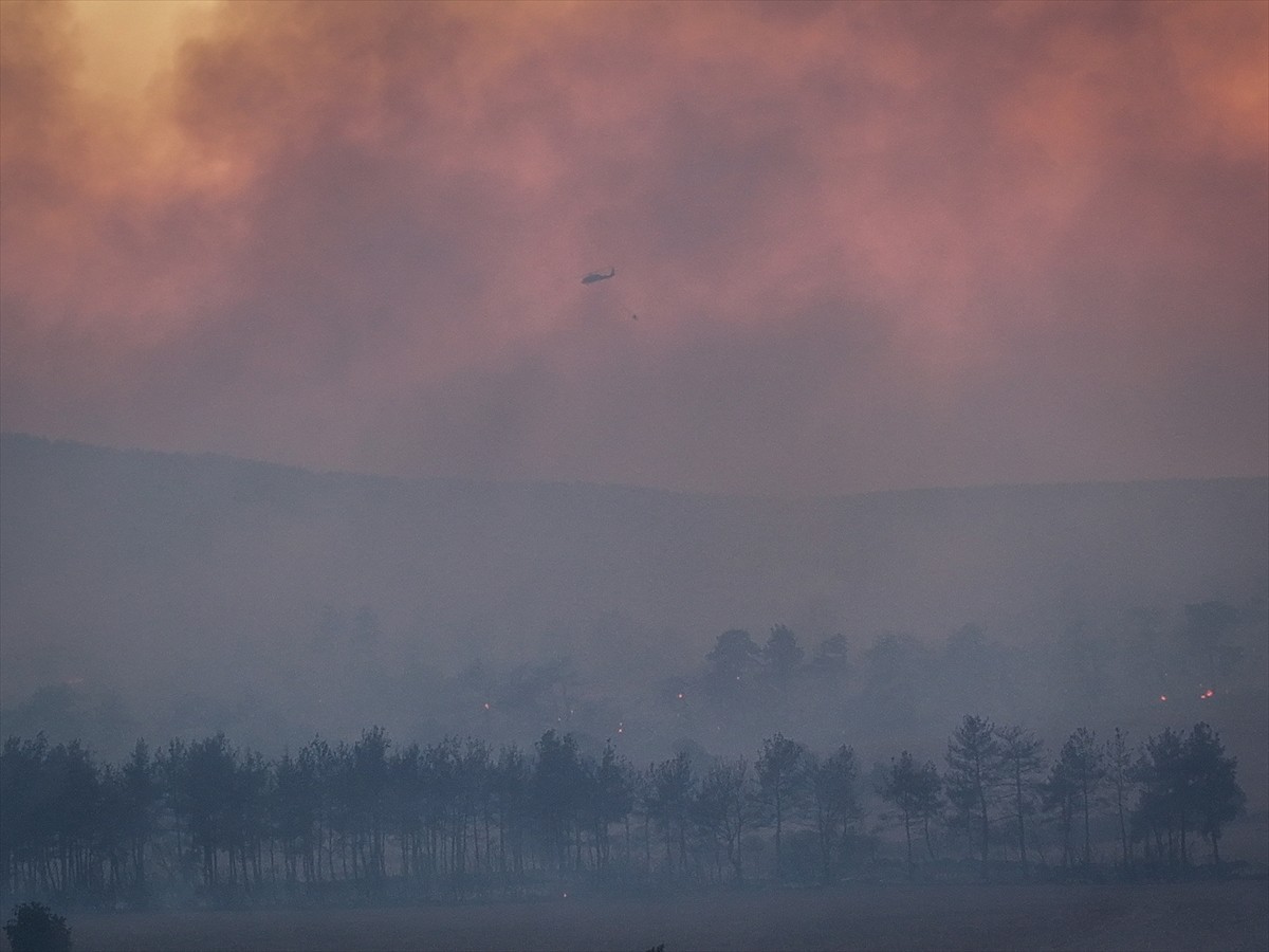 Çanakkale'nin Gelibolu ilçesinde kırsal alanda başlayıp ormana sıçrayan yangına havadan ve karadan...