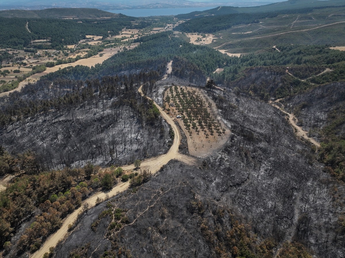 Çanakkale'nin Gelibolu ilçesinde kırsal alanda başlayıp ormana sıçrayan yangında, çevresindeki...