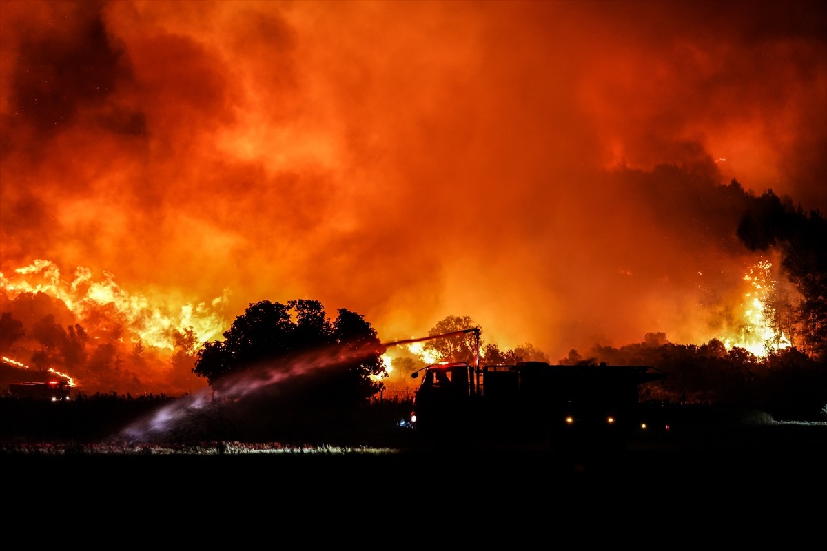 Çanakkale'nin Gelibolu ilçesinde ormanlık alanda çıkan yangına karadan müdahale ediliyor.