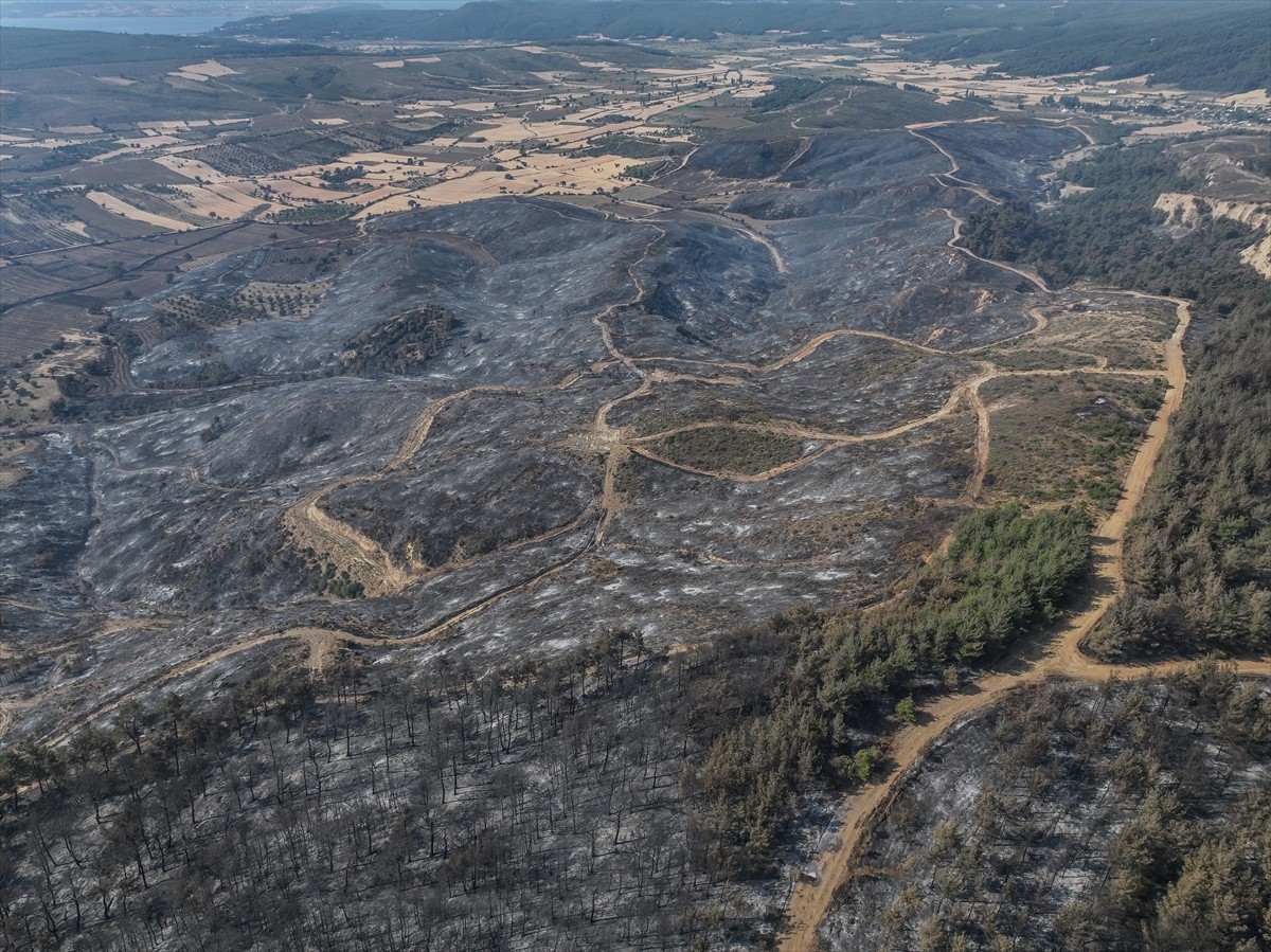 Çanakkale'nin Gelibolu ilçesindeki ormanlık alanda başlayıp Eceabat ilçesine ulaşan ve tamamen...