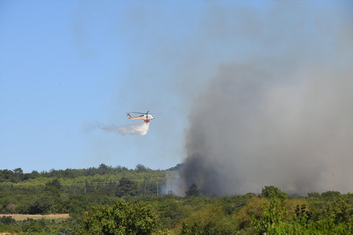 Çanakkale'nin Lapseki ilçesindeki tarım arazisinde çıkan yangına havadan ve karadan müdahale...