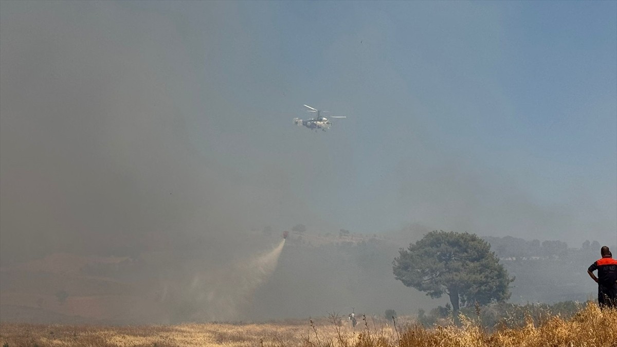 Çanakkale'nin merkeze bağlı Kemel köyündeki orman dışı alanda çıkan yangına havadan ve karadan...